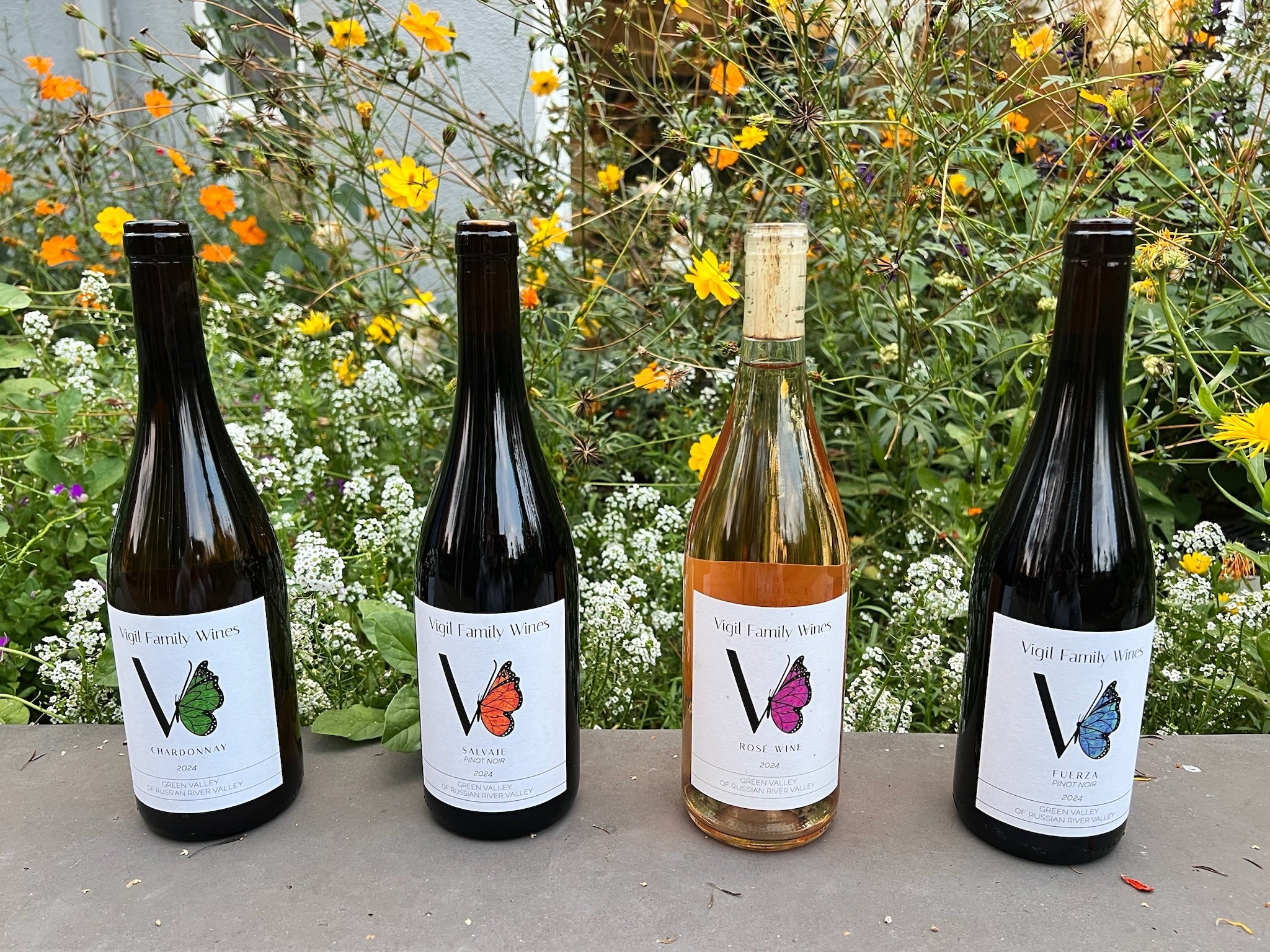 Our Holiday Collection