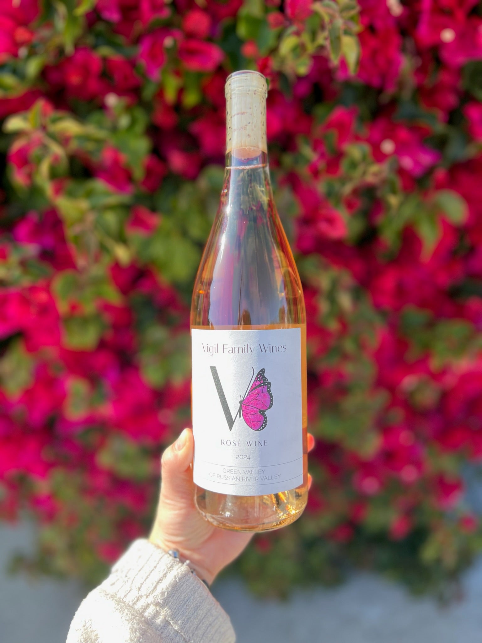 2024 Pinot Noir Rosé