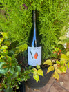 2024 Salvaje Pinot Noir